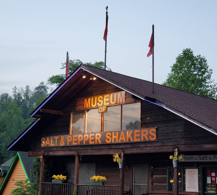 salt-pepper-shaker-museum-photo
